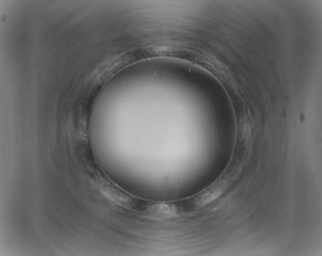 X0000068730421200604281143