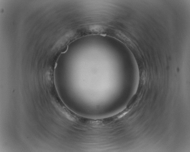 X0000068730424200604281143