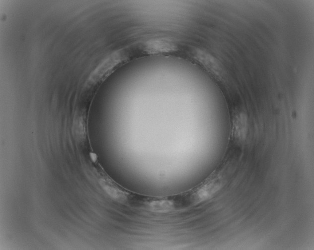 X0000068730426200604281143