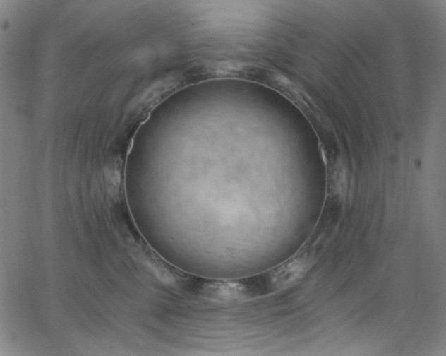 X0000068730427200604281143