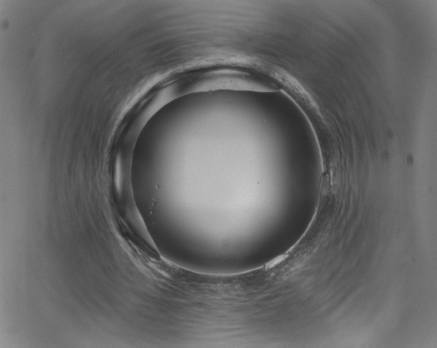 X0000068730436200604281142