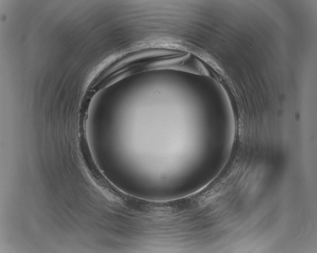 X0000068730438200604281143