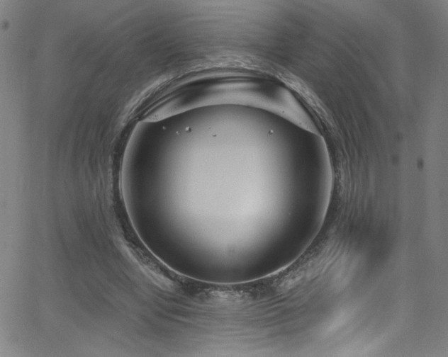 X0000068730442200604281143