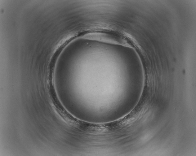 X0000068730443200604281143