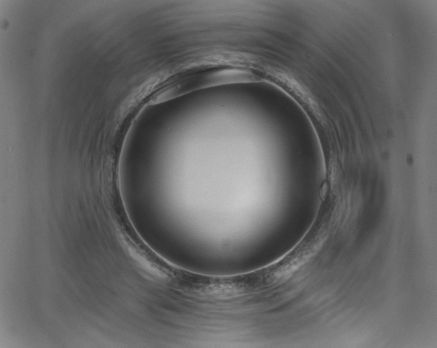 X0000068730445200604281143