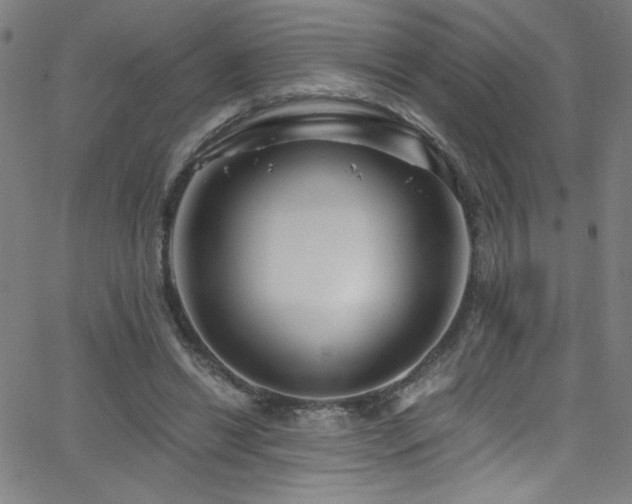 X0000068730446200604281143