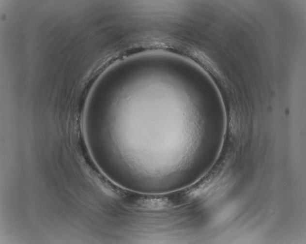 X0000068730449200604281143