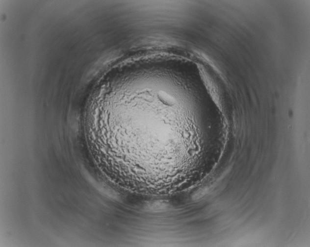 X0000068730451200604281143