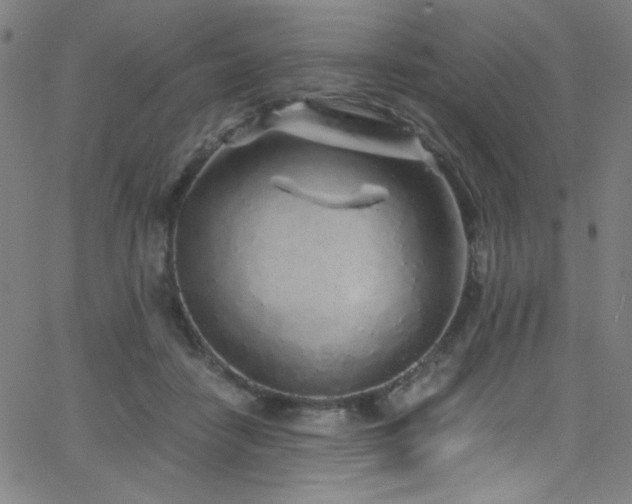 X0000068730458200604281143