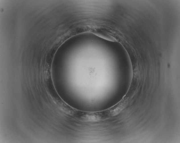 X0000068730464200604281143