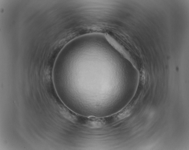 X0000068730466200604281143