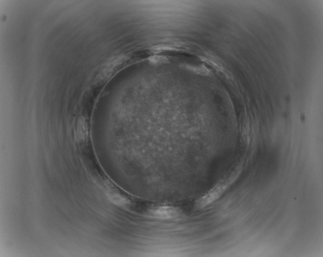 X0000068730467200604281143