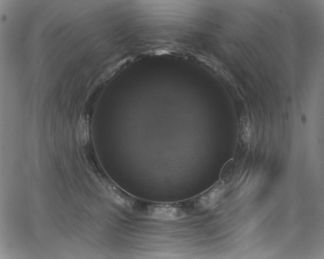 X0000068730471200604281143