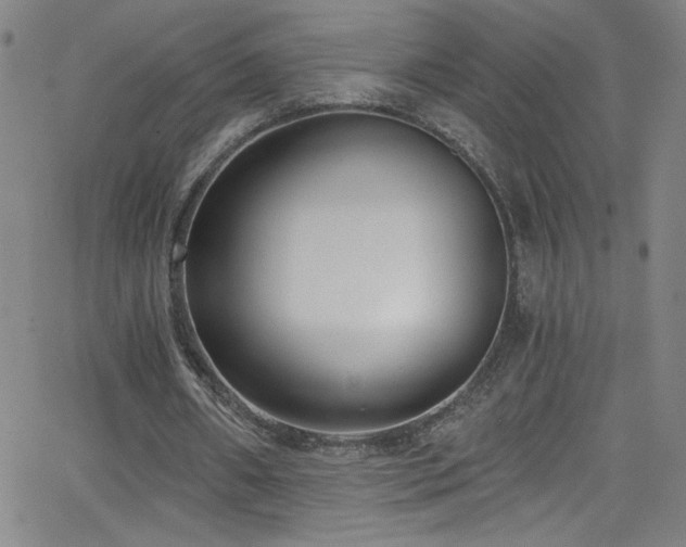 X0000068730482200604281142