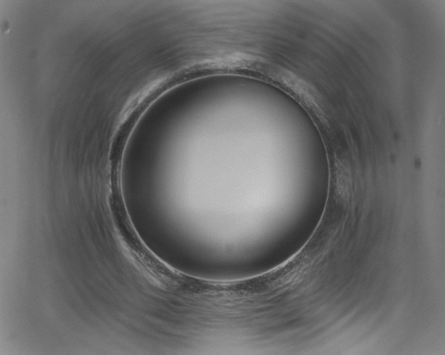 X0000068730486200604281142