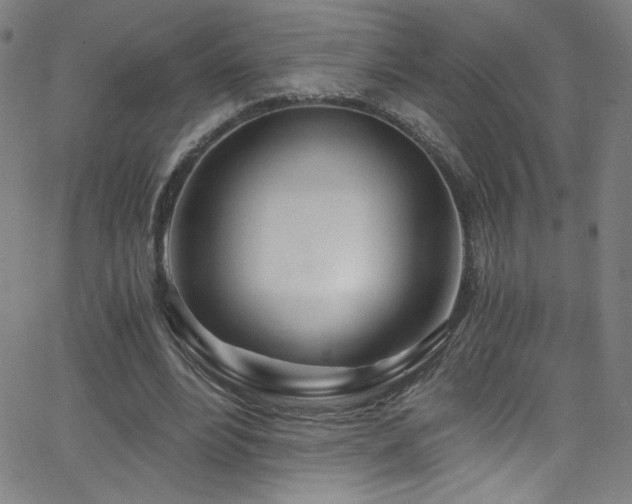 X0000068730488200604281142