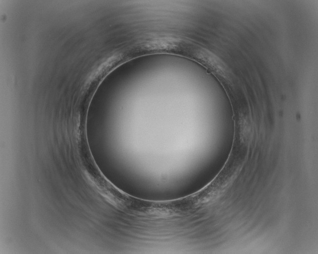 X0000068730490200604281142