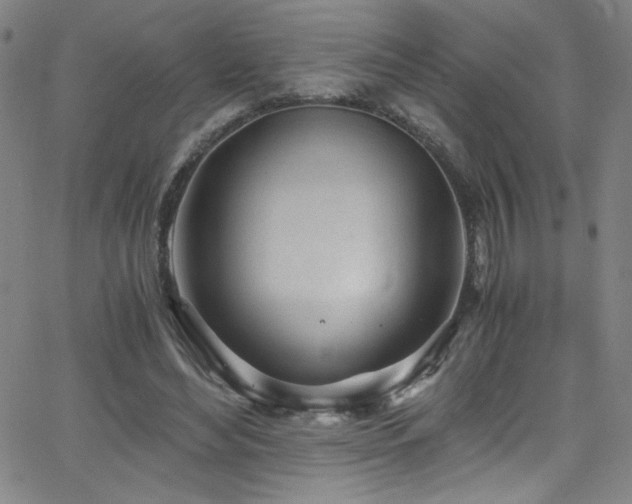 X0000068730492200604281142