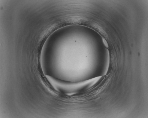 X0000068730493200604281142