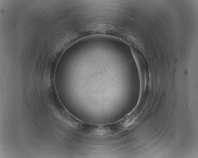 X0000068730504200604281142