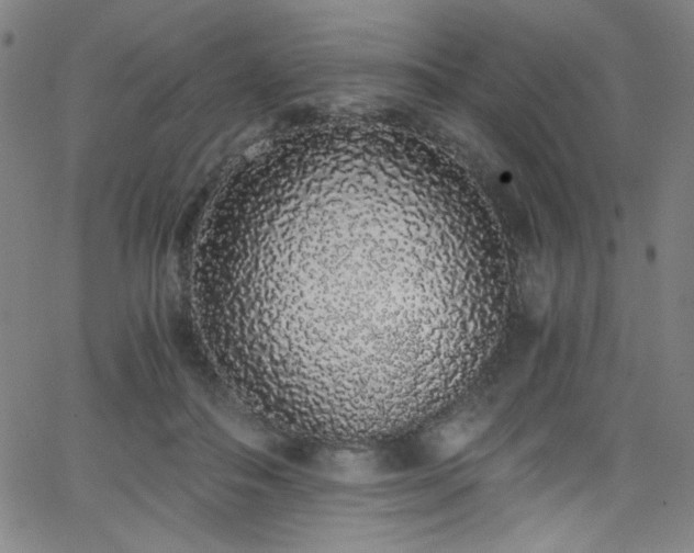 X0000068730506200604281142
