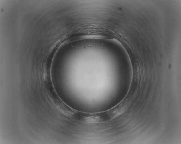 X0000068730508200604281142