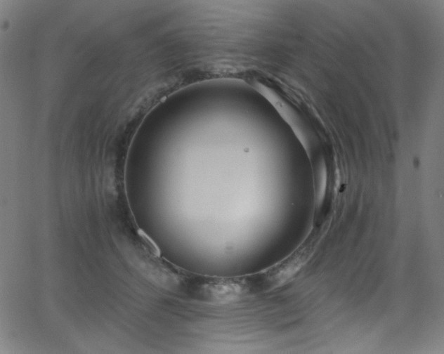 X0000068730512200604281142