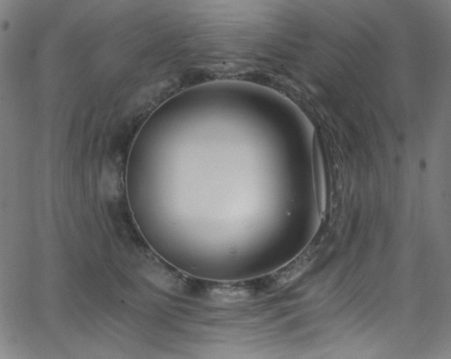X0000068730515200604281142
