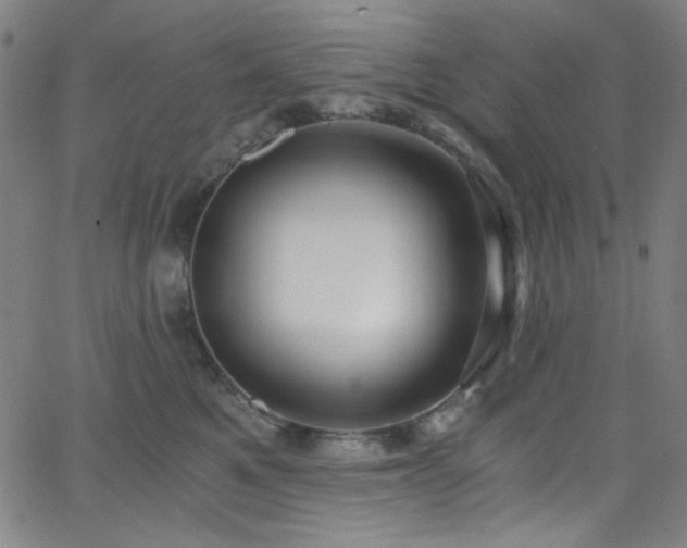 X0000068730521200604281142