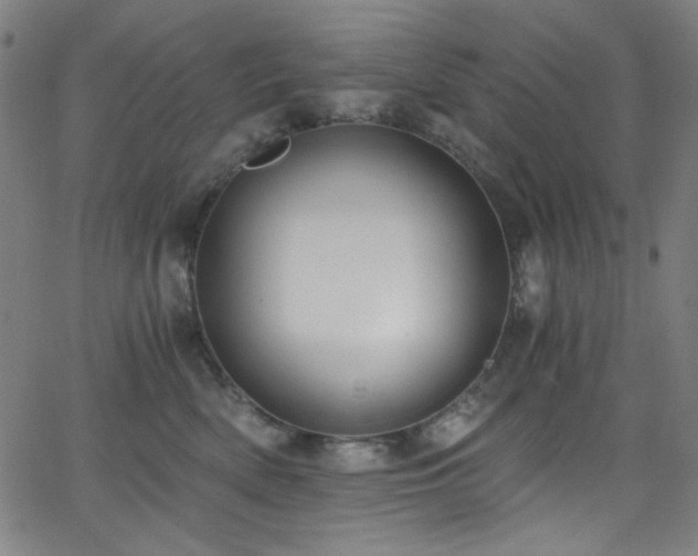 X0000068730522200604281142