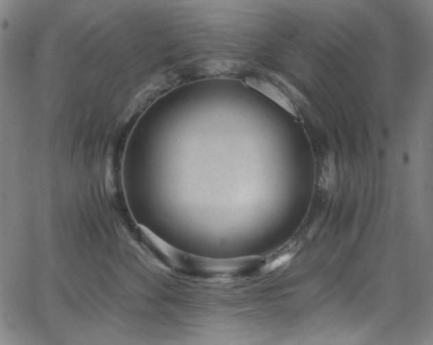 X0000068730524200604281142