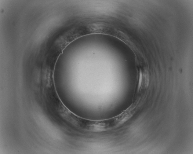 X0000068730525200604281142