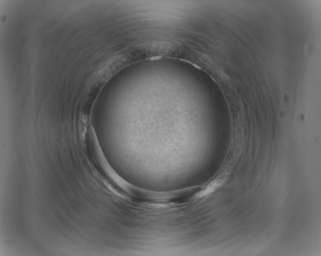 X0000068730528200604281142