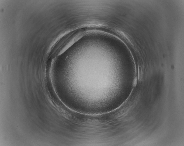 X0000068730531200604281141
