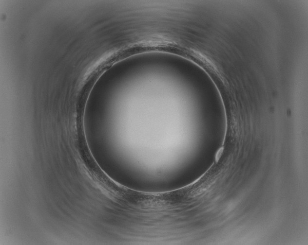X0000068730535200604281141