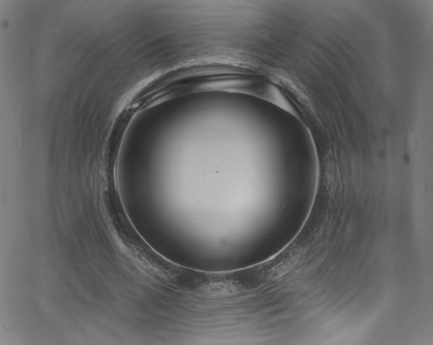 X0000068730536200604281141