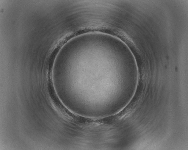 X0000068730542200604281141