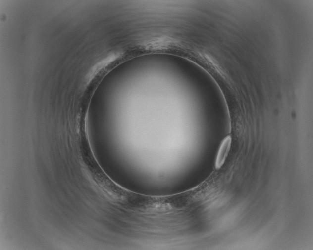 X0000068730543200604281141