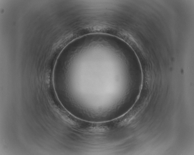 X0000068730545200604281141