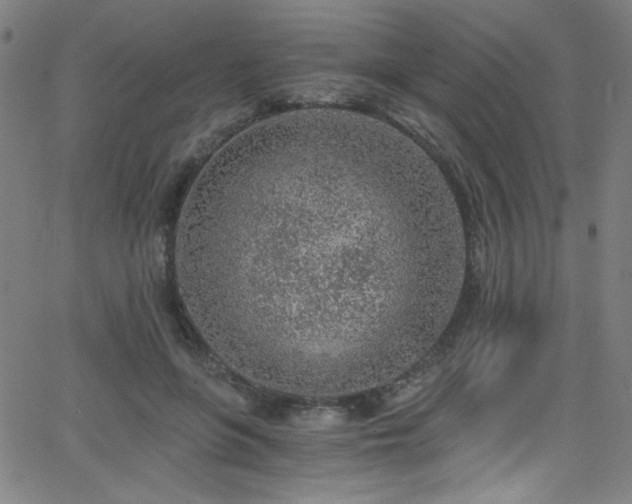 X0000068730551200604281141