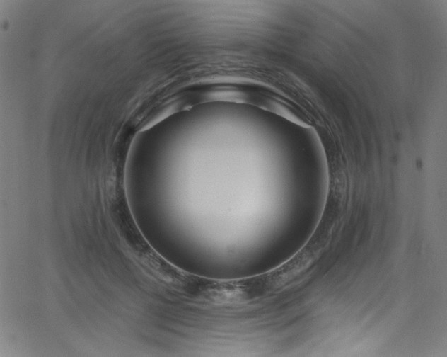 X0000068730552200604281141
