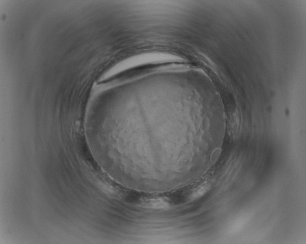 X0000068730553200604281141