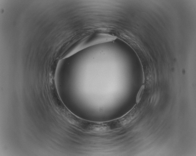 X0000068730555200604281141