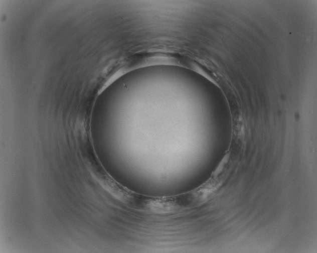 X0000068730568200604281142