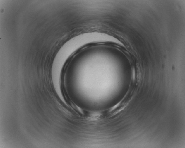 X0000068730574200604281142