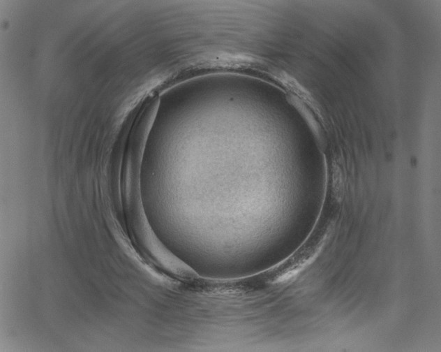X0000068730581200604281141