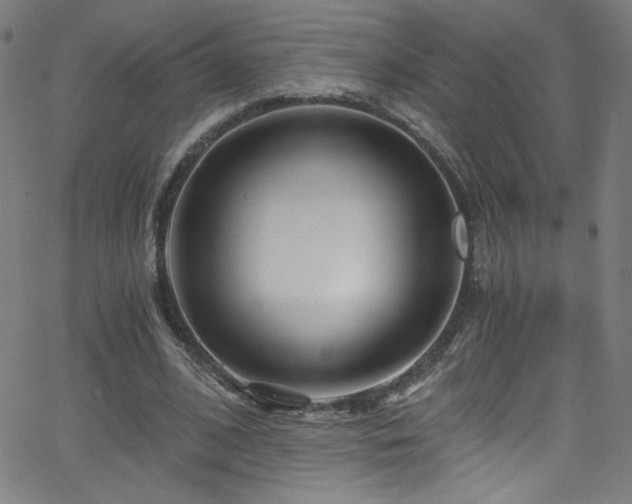 X0000068730584200604281141