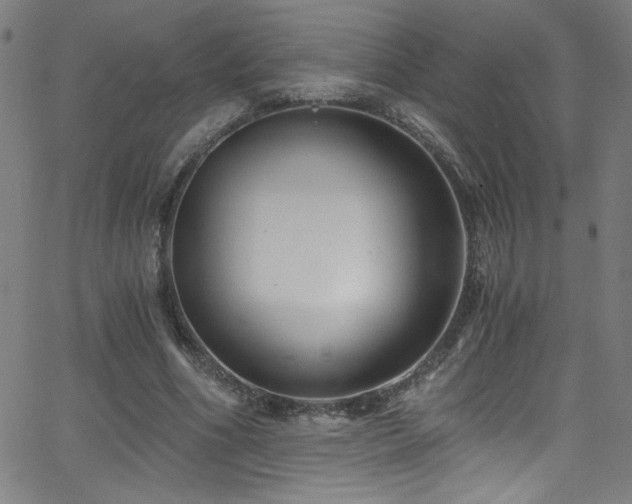 X0000068730586200604281141