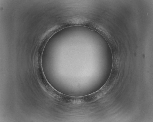 X0000068730587200604281141