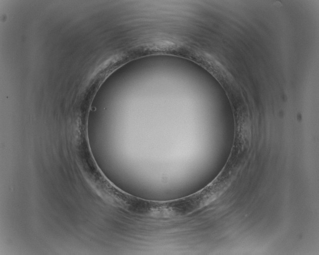 X0000068730591200604281141